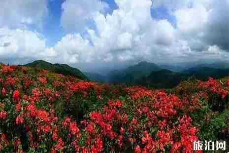 常州周边免费露营的地方