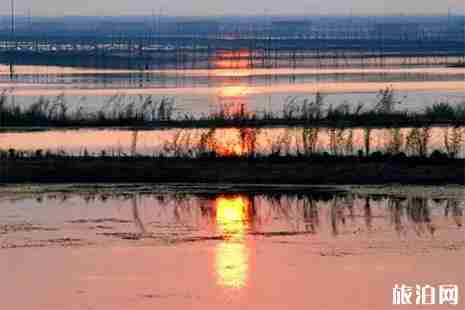 常州适合烧烤的地方推荐