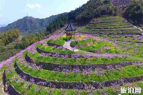 2019浙江富阳区山乡公交专线 站点+路线走向