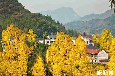 2019浙江富阳区山乡公交专线 站点+路线走向