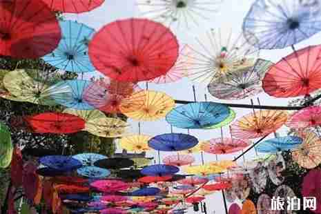 2019东莞粤晖园樱花节 门票+附活动时间安排 2019东莞粤晖园樱花节 门票+附活动时间安排