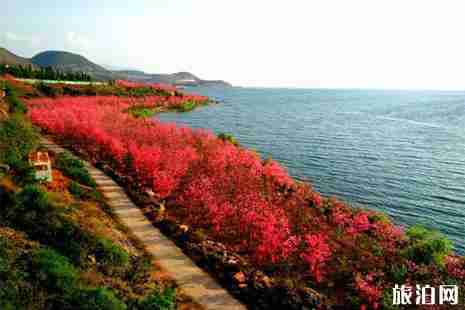 2019撫仙湖櫻花節(jié)門票 撫仙湖游玩攻略 2019撫仙湖櫻花節(jié)門票 撫仙湖游玩攻略