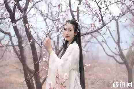 2019桐鄉(xiāng)市首屆槜李文化節(jié)暨桃園村李花觀賞活動3月23日開啟 2019桐鄉(xiāng)市首屆槜李文化節(jié)暨桃園村李花觀賞活動3月23日開啟