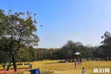 2019成都地鐵賞花指南