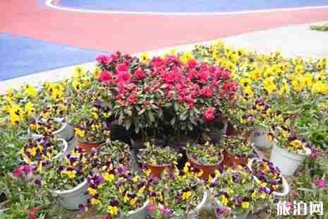 2019成都地鐵賞花指南