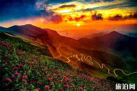 2019貴州賞花時間表 四月貴州哪里適合賞花 2019貴州賞花時間表 四月貴州哪里適合賞花