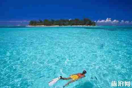 泰國浮潛攻略 泰國浮潛攻略