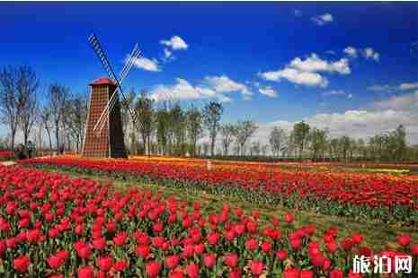 2019北京清明節賞花去哪+攻略