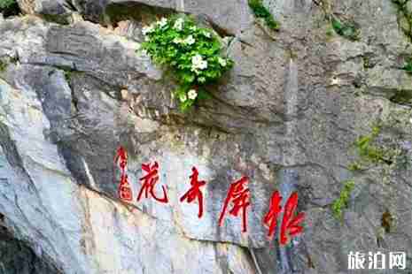 2019巢湖銀屏山牡丹花節3月30日開啟 附交通信息