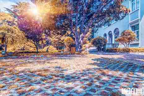 青島八大關(guān)景區(qū)介紹+游玩攻略