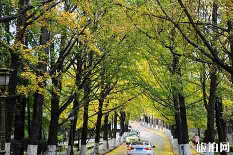 青島八大關(guān)景區(qū)介紹+游玩攻略