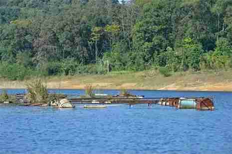 韶关烧烤的地方 韶关适合户外烧烤的地点推荐 韶关烧烤的地方 韶关适合户外烧烤的地点推荐