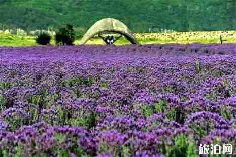 舟山赏花地方攻略 舟山赏花地方攻略