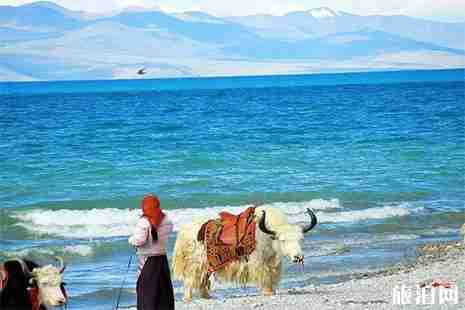 2019纳木措景区3月29日开放