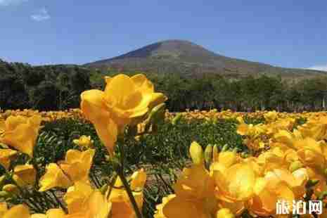 2019日本春季旅游攻略