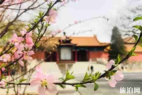 2019清明节故宫开放吗 2019清明节故宫赏花攻略