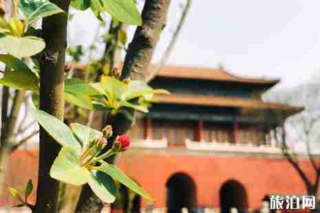 2019清明节故宫开放吗 2019清明节故宫赏花攻略
