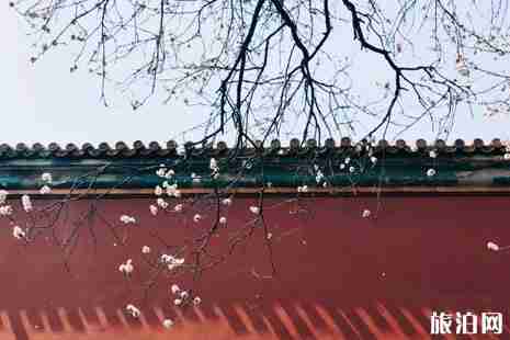 2019清明节故宫开放吗 2019清明节故宫赏花攻略