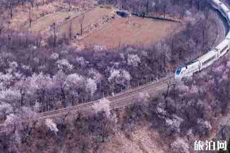 北京城鐵s2購票攻略 北京城鐵s2線時刻表+換乘攻略