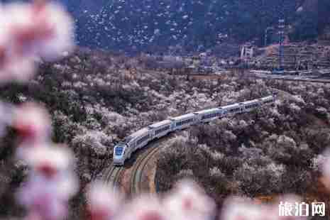 北京城鐵s2購票攻略 北京城鐵s2線時刻表+換乘攻略