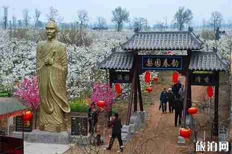 2019晉州周家莊梨花節5月10日截止 附活動信息 2019晉州周家莊梨花節5月10日截止 附活動信息