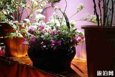 2019彭州牡丹花節在哪里 時間+地點+活動時間安排