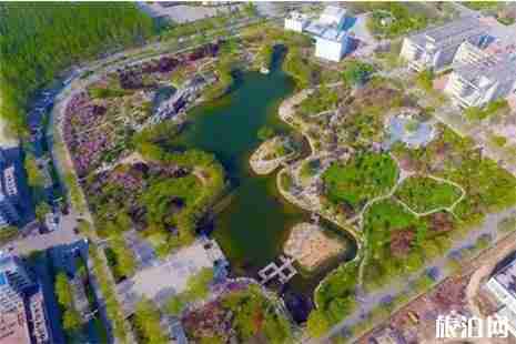 2019河北賞花景點大全