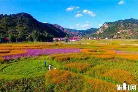 2019河北賞花景點大全
