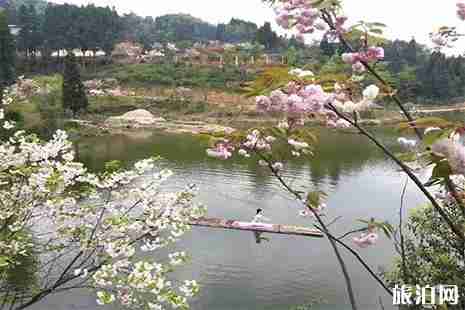 2019都勻百鳥湖休閑觀光園門票多少錢