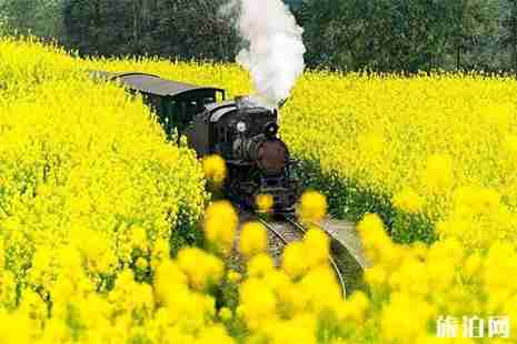 2019夾江周邊賞花指南 夾江賞花攻略