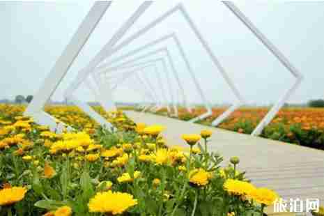 四川清明節適合去哪里旅游 四川清明節適合去哪里旅游