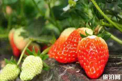 五一沈陽周邊去哪玩