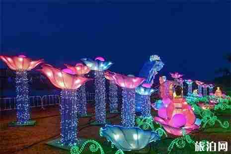 2019贛州石城縣杜鵑花節(jié)4月14日開啟