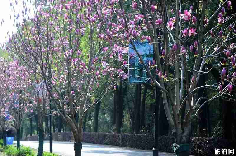 2019湖南省植物園賞花時間表