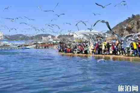 2019年四月上海出發機票便宜的有哪些 2019年四月上海出發機票便宜的有哪些