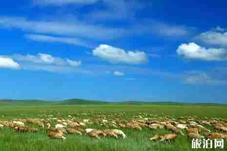 2019年四月上海出發機票便宜的有哪些 2019年四月上海出發機票便宜的有哪些