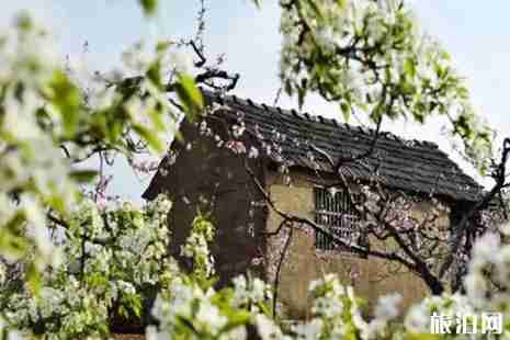 春季威海賞花好去處推薦 春季威海賞花好去處推薦