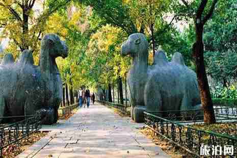 南京揚州鎮(zhèn)江6日游旅游攻略 南京揚州鎮(zhèn)江6日游旅游攻略