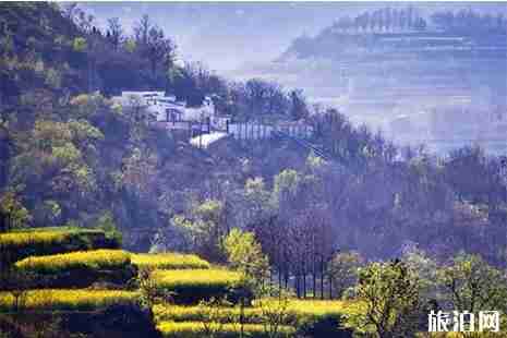 河南鄭州新密袁莊油菜花節4月6日開啟 附賞花攻略 河南鄭州新密袁莊油菜花節4月6日開啟 附賞花攻略