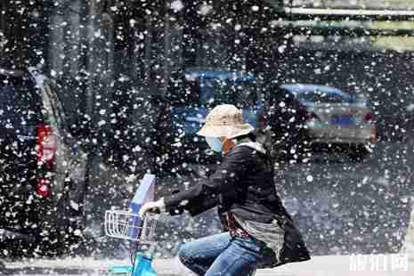 2019楊柳絮預警圖出爐 2019北京楊柳絮持續時間