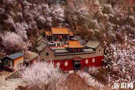 2019雞鳴山桃花節(jié) 附活動時間安排 2019雞鳴山桃花節(jié) 附活動時間安排