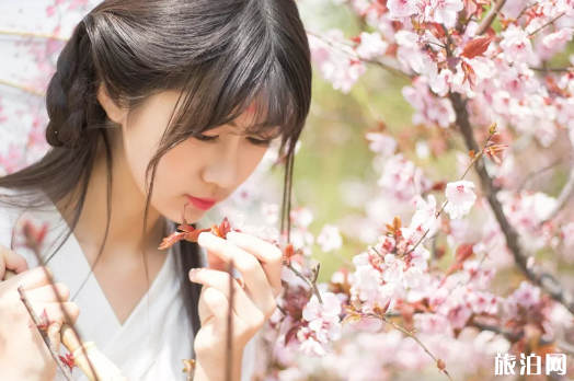 4月南京漢服活動(dòng) 2019南京玄武湖漢服文化節(jié)時(shí)間+票價(jià)