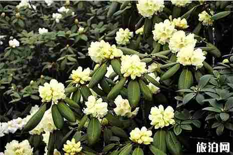 大理蒼山徒步事先準備注意事項 附登山路線