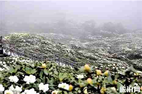 大理蒼山徒步事先準備注意事項 附登山路線