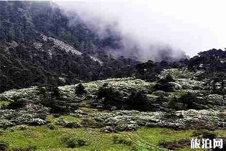 大理蒼山徒步事先準備注意事項 附登山路線