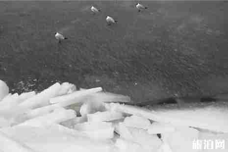 2019青海湖開湖時間+簡介 青海湖開湖攻略 2019青海湖開湖時間+簡介 青海湖開湖攻略