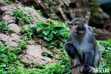 2019年五一安康旅游攻略 2019年五一安康旅游攻略