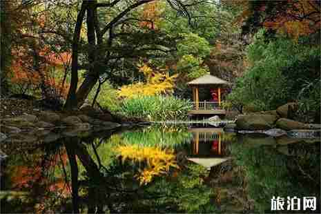 上海公园烧烤推荐 门票+烧烤费用