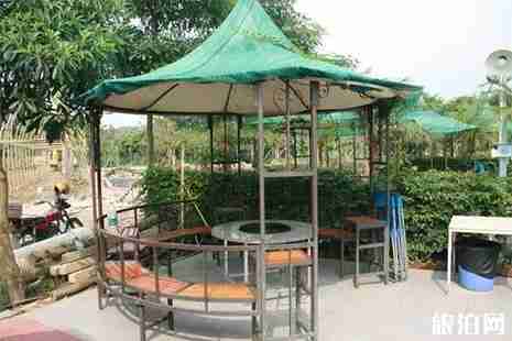 清远烧烤地推荐 清远烧烤地推荐