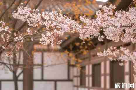 西安历史景点介绍 西安历史景点介绍